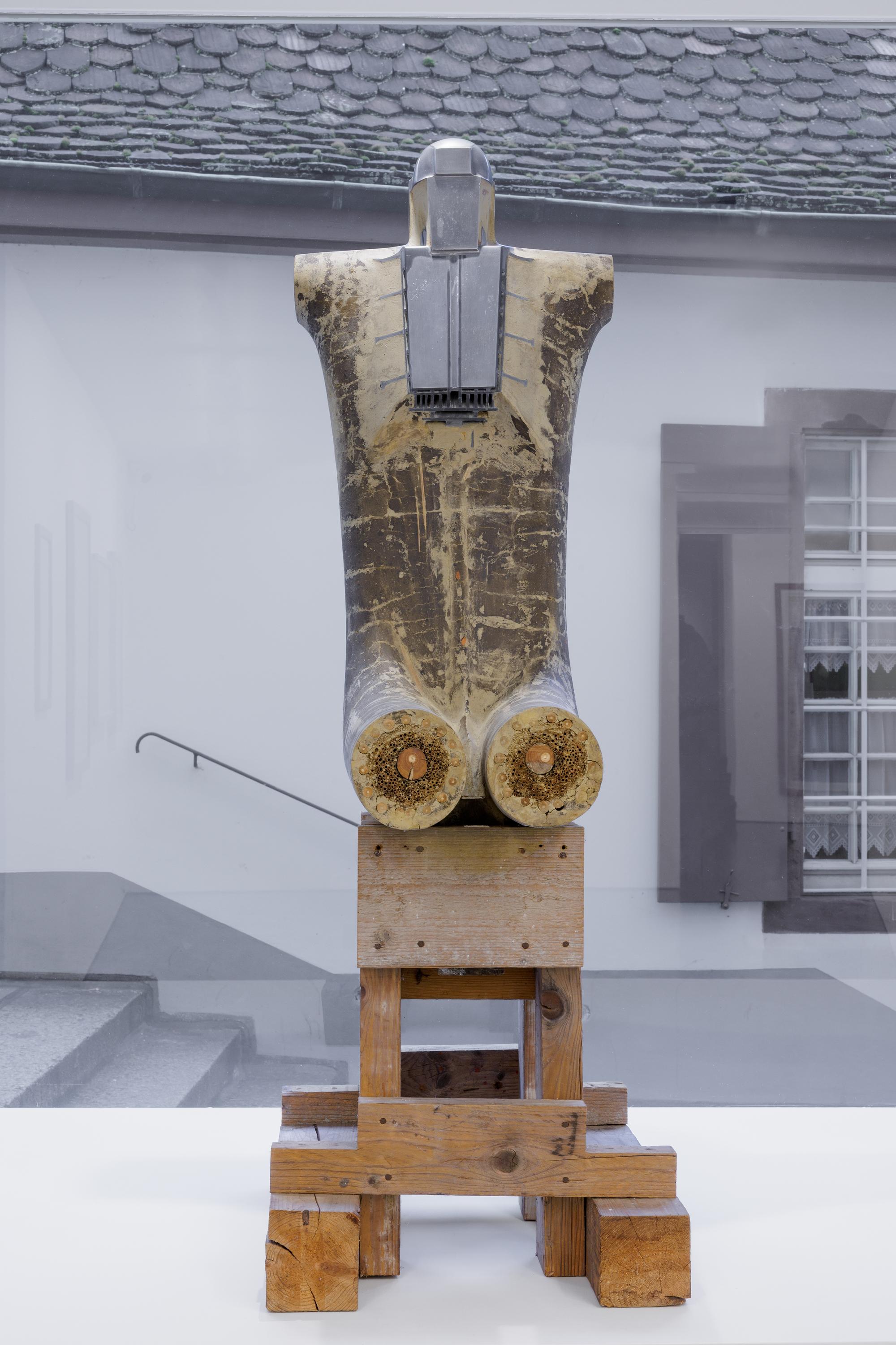 “Kleiner Rumpf” - Walter Pichler 